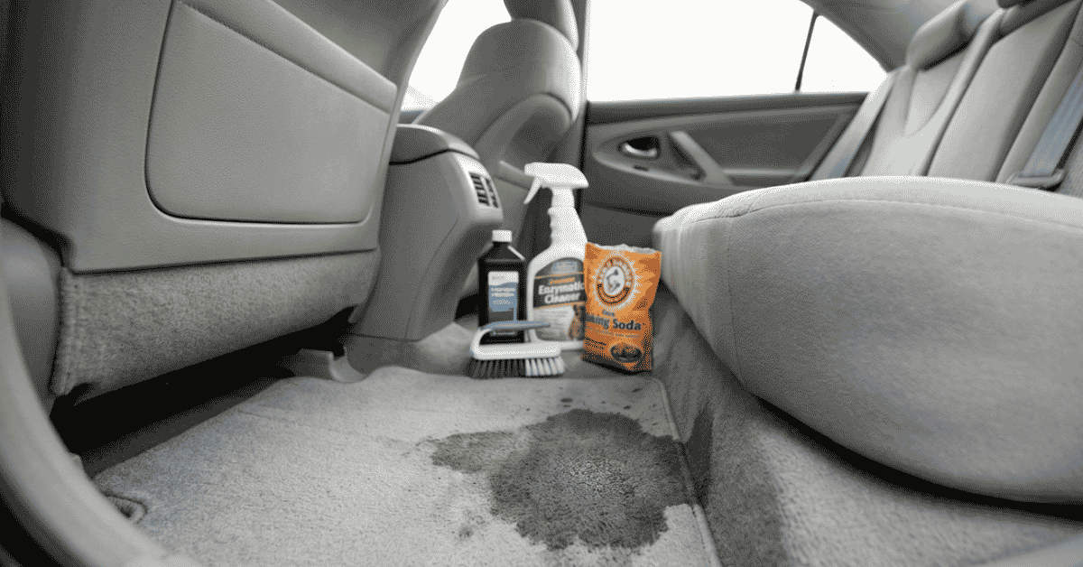 how to get cat pee smell out of car