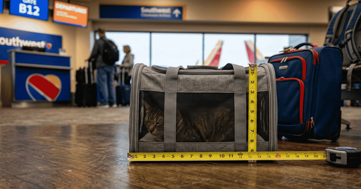 pet carrier dimensions southwest