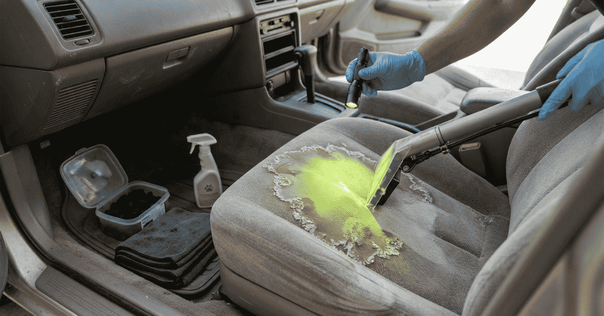 Cat Pee Smell Out of Car